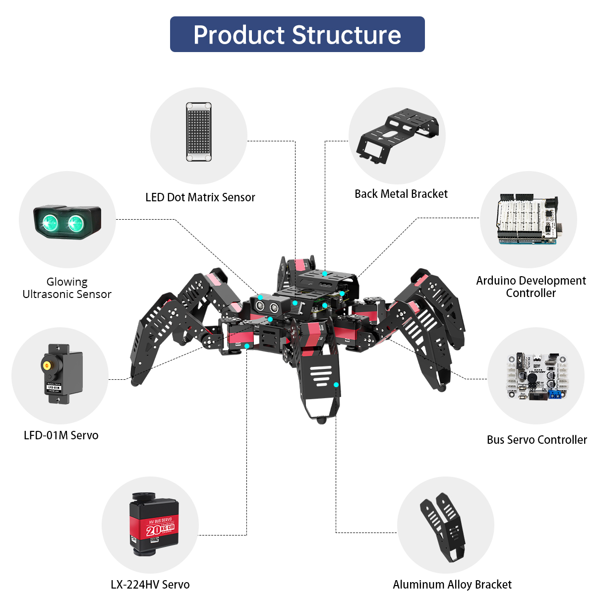 Hiwonder Spiderbot, Robot Arañ - Robot Kit reseña y precio