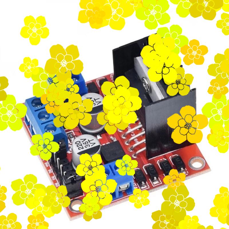 Módulo de placa controladora L - L298N Module reseña y precio