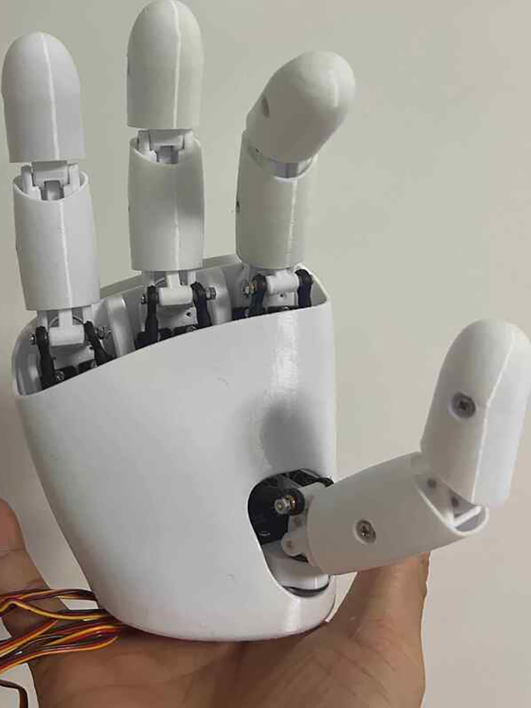 Mano Robótica AmazingHand de 8 - Robot Gripper reseña y precio