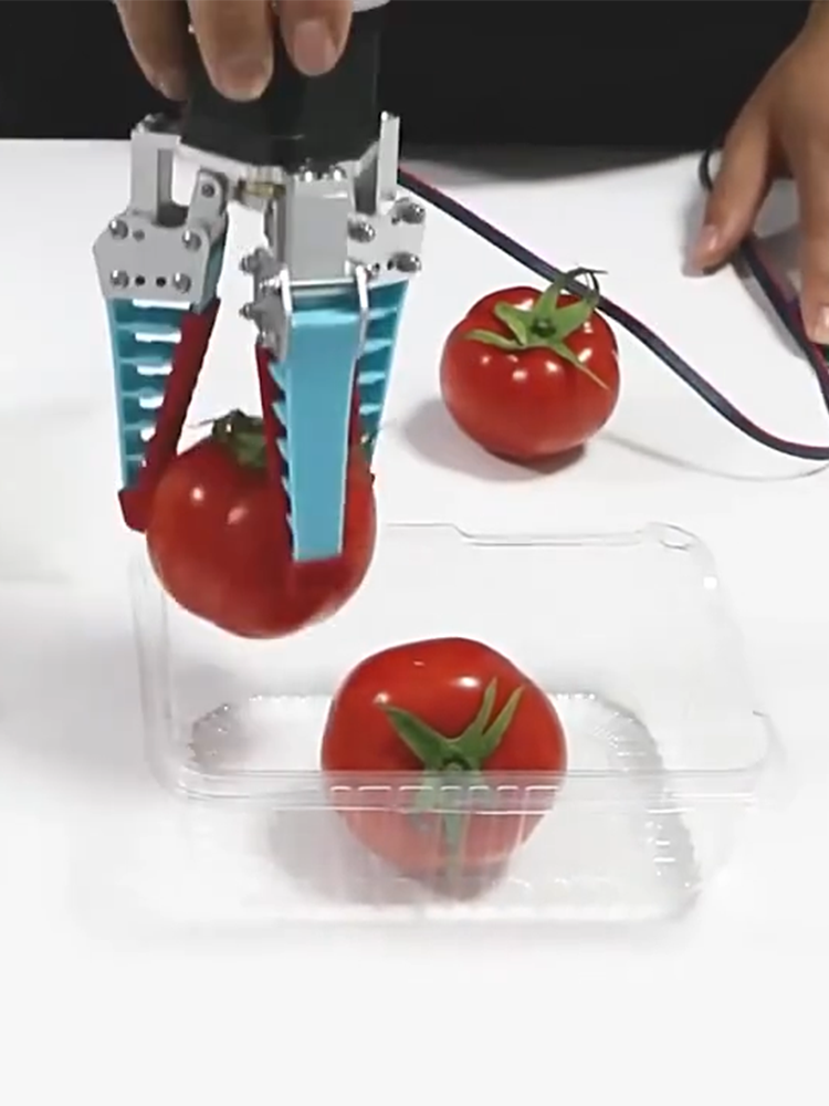 Garra de Robot Flexible, brazo - Robot Gripper reseña y precio